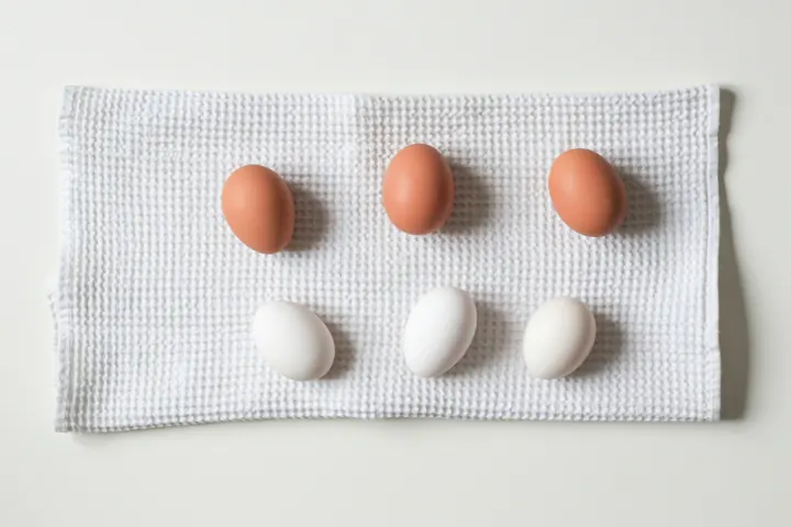 Crowd-Funded Models vs Healthsharing Programs: A Comprehensive Guide